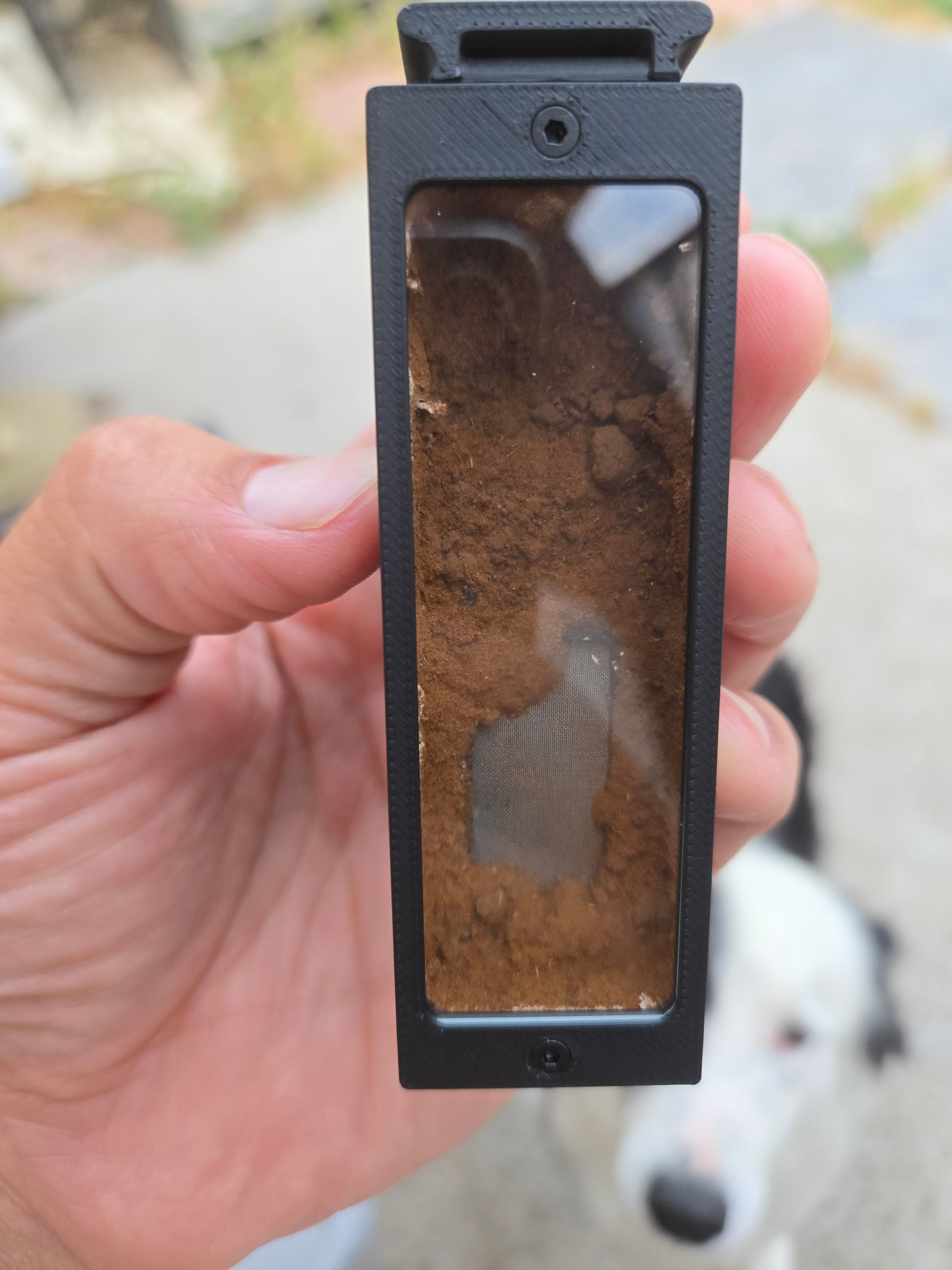 Ant Pod expandable ant habitat — Royal Chamber Ants